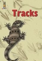 Tracks