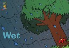 Wet