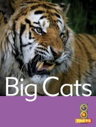 Big Cats