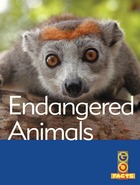 Endangered Animals