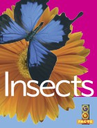 Insects