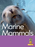 Marine Mammals