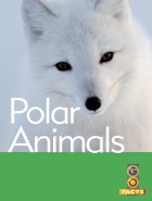 Polar Animals