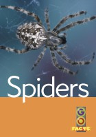 Spiders