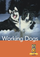 Working Dogs