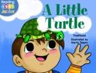 A Little Turtle