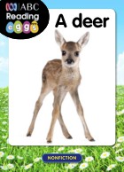 A deer