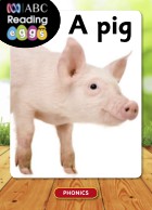 A pig