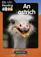 An ostrich