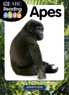 Apes