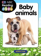 Baby animals