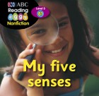My five senses