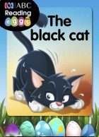 The black cat