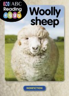 Woolly sheep