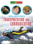 Bio-Inspired Transportation and Communication