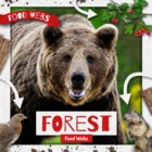 Forest Food Webs
