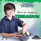 How to Make a Terrarium