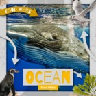 Ocean Food Webs