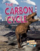 The Carbon Cycle