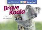 Brave Koala