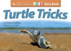 Turtle Tricks