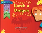 Catch a Dragon