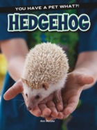 hedgehog