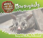 Marsupials