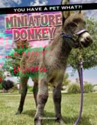 miniature_donkey