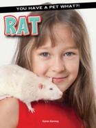 rat