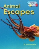 Animal Escapes