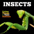 Insects