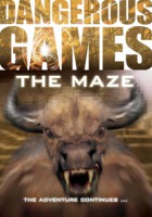 The Maze