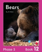 Bears