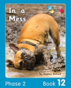 In a Mess