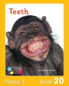 Teeth