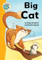 Big Cat