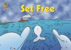 Set Free