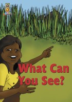What Can You See?