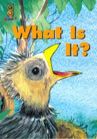 What Is It?