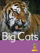 Big Cats