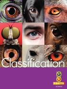 Classification