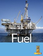 Fuel