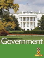 Government