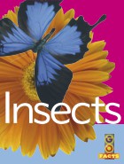 Insects