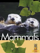 Mammals