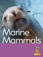 Marine Mammals