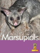 Marsupials