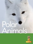 Polar Animals