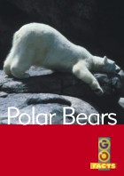 Polar Bears